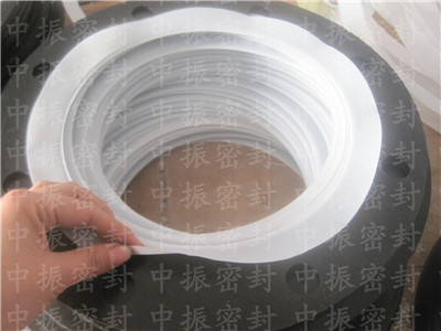 四氟包覆垫片